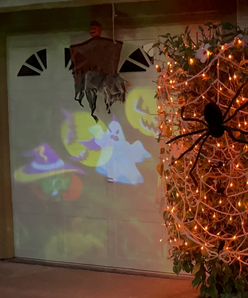 Halloween projection light